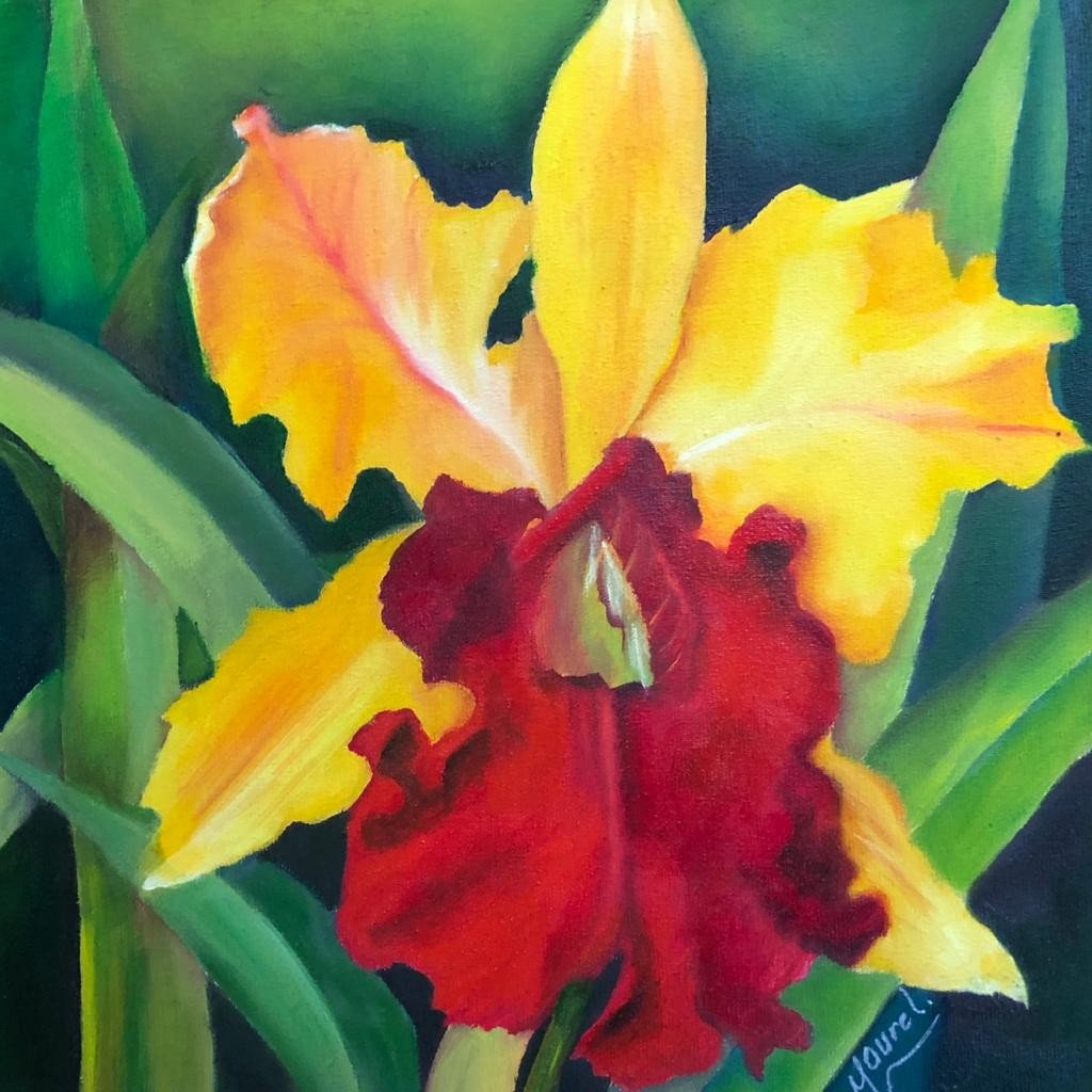 Obra: Orquídea Cattleya Labiata Artista: Maurel Cortés 2023